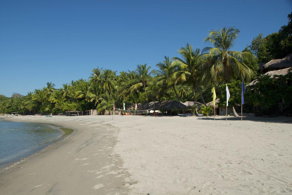 Cove Paradise Beach And Dive Resort Siaton Exterior photo